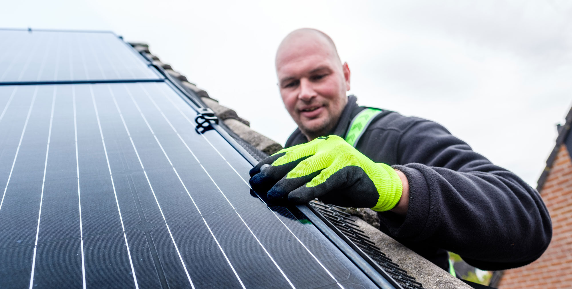 vogelwering voor zonnepanelen